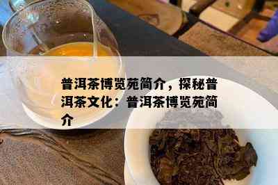 普洱茶博览苑简介，探秘普洱茶文化：普洱茶博览苑简介