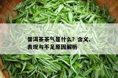 普洱茶茶气是什么？含义、表现与不足原因解析