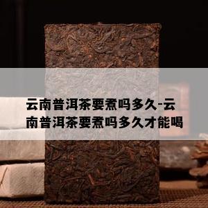 云南普洱茶要煮吗多久-云南普洱茶要煮吗多久才能喝