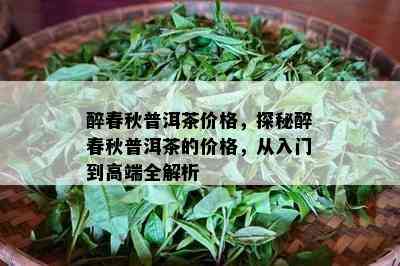 醉春秋普洱茶价格，探秘醉春秋普洱茶的价格，从入门到高端全解析