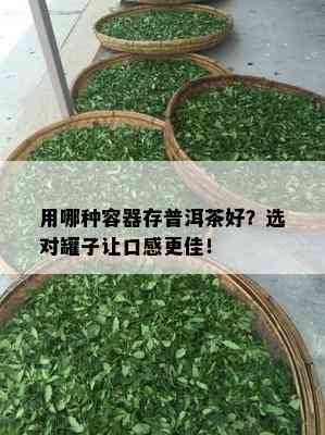 用哪种容器存普洱茶好？选对罐子让口感更佳！