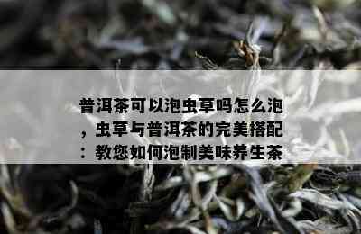 普洱茶可以泡虫草吗怎么泡，虫草与普洱茶的完美搭配：教您如何泡制美味养生茶