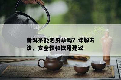 普洱茶能泡虫草吗？详解方法、安全性和饮用建议