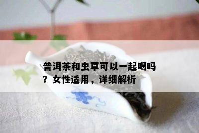 普洱茶和虫草可以一起喝吗？女性适用，详细解析