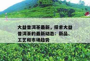 大益普洱茶最新，探索大益普洱茶的最新动态：新品、工艺和市场趋势