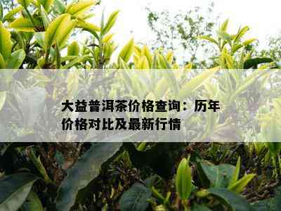 大益普洱茶价格查询：历年价格对比及最新行情