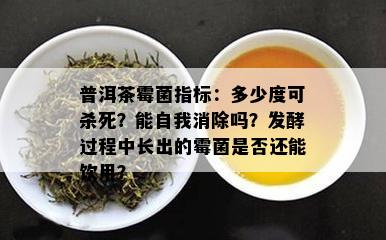 普洱茶霉菌指标：多少度可杀死？能自我消除吗？发酵过程中长出的霉菌是否还能饮用？