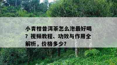 小青柑普洱茶怎么泡更好喝？视频教程、功效与作用全解析，价格多少？