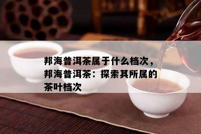 邦海普洱茶属于什么档次，邦海普洱茶：探索其所属的茶叶档次