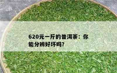 620元一斤的普洱茶：你能分辨好坏吗？