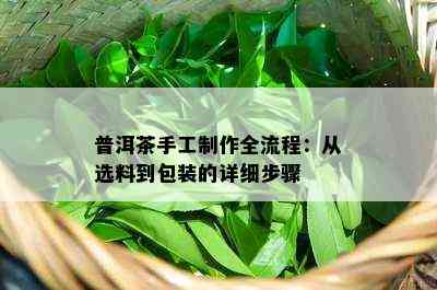 普洱茶手工制作全流程：从选料到包装的详细步骤