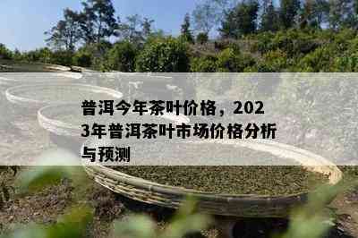 普洱今年茶叶价格，2023年普洱茶叶市场价格分析与预测