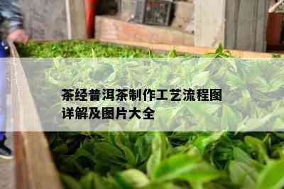 茶经普洱茶制作工艺流程图详解及图片大全