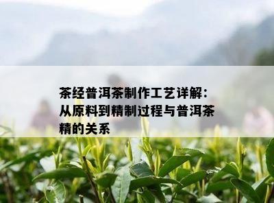 茶经普洱茶制作工艺详解：从原料到精制过程与普洱茶精的关系