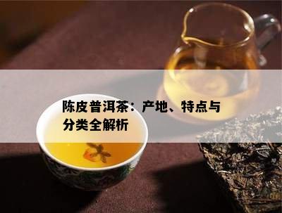 陈皮普洱茶：产地、特点与分类全解析