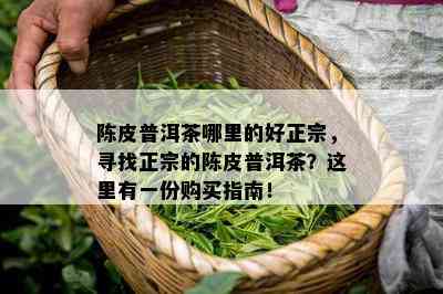 陈皮普洱茶哪里的好正宗，寻找正宗的陈皮普洱茶？这里有一份购买指南！