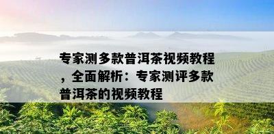 专家测多款普洱茶视频教程，全面解析：专家测评多款普洱茶的视频教程