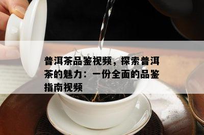 普洱茶品鉴视频，探索普洱茶的魅力：一份全面的品鉴指南视频