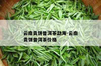 云南贡饼普洱茶勐海-云南贡饼普洱茶价格