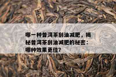 哪一种普洱茶刮油减肥，揭秘普洱茶刮油减肥的秘密：哪种效果更佳？