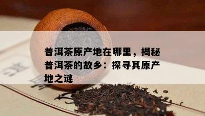 普洱茶原产地在哪里，揭秘普洱茶的故乡：探寻其原产地之谜