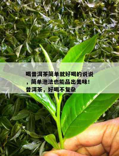 喝普洱茶简单就好喝的说说，简单泡法也能品出美味！普洱茶，好喝不复杂