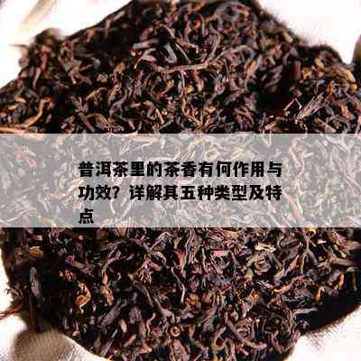 普洱茶里的茶香有何作用与功效？详解其五种类型及特点