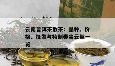 云南普洱茶散茶：品种、价格、批发与特制春尖云丝一览