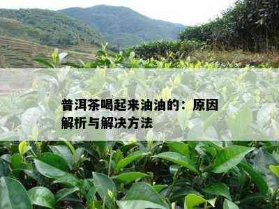 普洱茶喝起来油油的：原因解析与解决方法