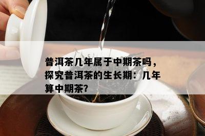 普洱茶几年属于中期茶吗，探究普洱茶的生长期：几年算中期茶？