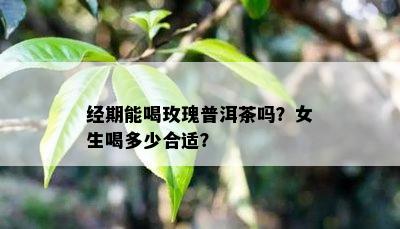 经期能喝玫瑰普洱茶吗？女生喝多少合适？