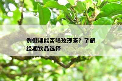 例假期能否喝玫瑰茶？了解经期饮品选择