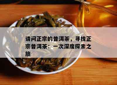 请问正宗的普洱茶，寻找正宗普洱茶：一次深度探索之旅