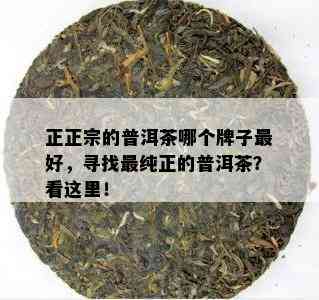 正正宗的普洱茶哪个牌子更好，寻找最纯正的普洱茶？看这里！