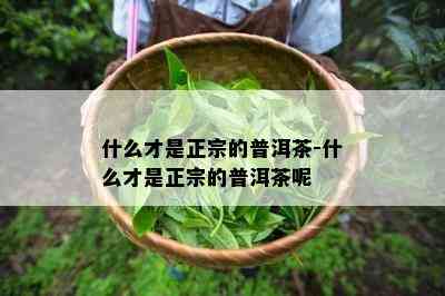 什么才是正宗的普洱茶-什么才是正宗的普洱茶呢