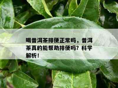 喝普洱茶排便正常吗，普洱茶真的能帮助排便吗？科学解析！