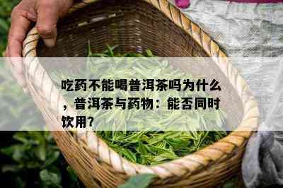 吃不能喝普洱茶吗为什么，普洱茶与物：能否同时饮用？