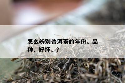 怎么辨别普洱茶的年份、品种、好坏、？