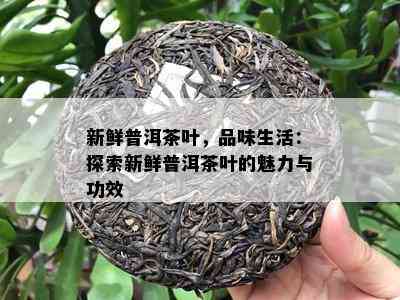 新鲜普洱茶叶，品味生活：探索新鲜普洱茶叶的魅力与功效