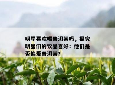 明星喜欢喝普洱茶吗，探究明星们的饮品喜好：他们是否偏爱普洱茶？