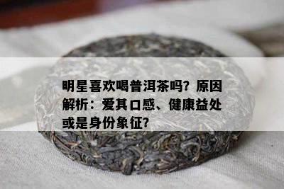 明星喜欢喝普洱茶吗？原因解析：爱其口感、健康益处或是身份象征？