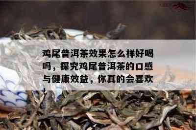 鸡尾普洱茶效果怎么样好喝吗，探究鸡尾普洱茶的口感与健康效益，你真的会喜欢！