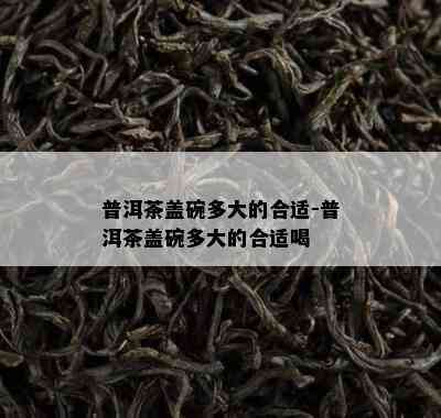 普洱茶盖碗多大的合适-普洱茶盖碗多大的合适喝