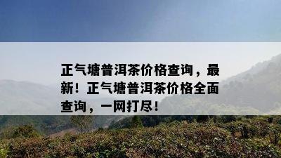 正气塘普洱茶价格查询，最新！正气塘普洱茶价格全面查询，一网打尽！