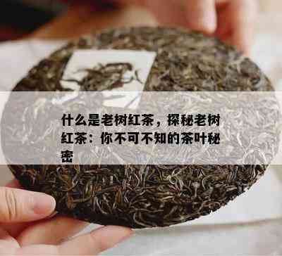 什么是老树红茶，探秘老树红茶：你不可不知的茶叶秘密