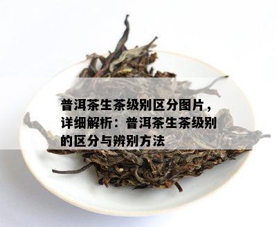 普洱茶生茶级别区分图片，详细解析：普洱茶生茶级别的区分与辨别方法