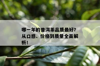 哪一年的普洱茶品质更好？从口感、价格到质量全面解析！