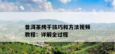 普洱茶烤干技巧和方法视频教程：详解全过程