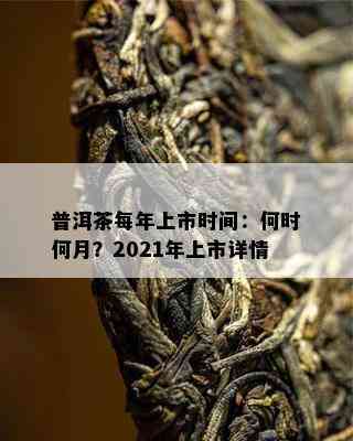 普洱茶每年上市时间：何时何月？2021年上市详情