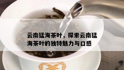 云南猛海茶叶，探索云南猛海茶叶的独特魅力与口感